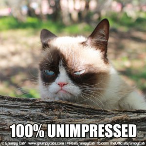 grumpycats.com